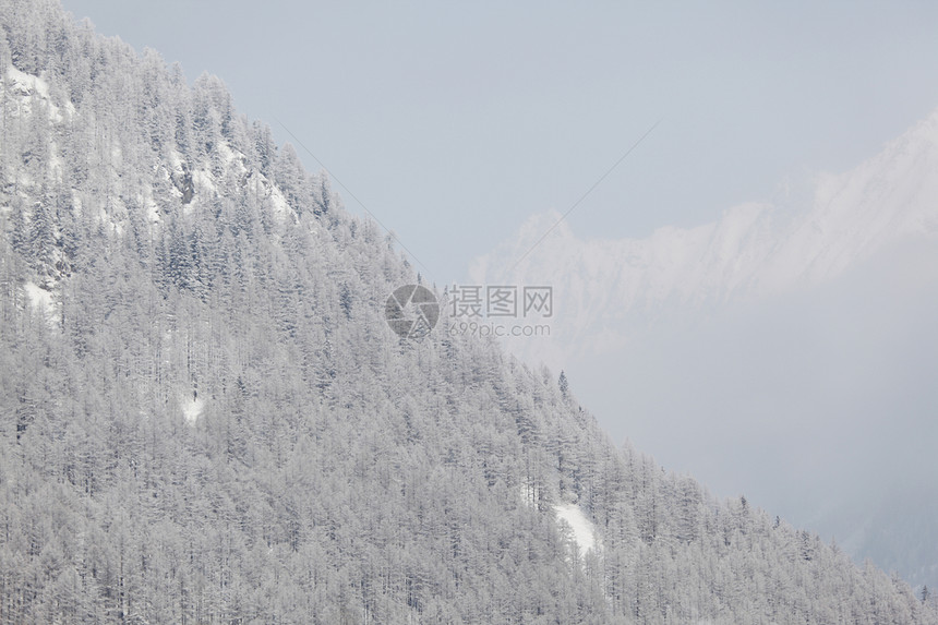 积雪中的森林木头全景高地首脑场景照明蓝色阳光天气太阳图片