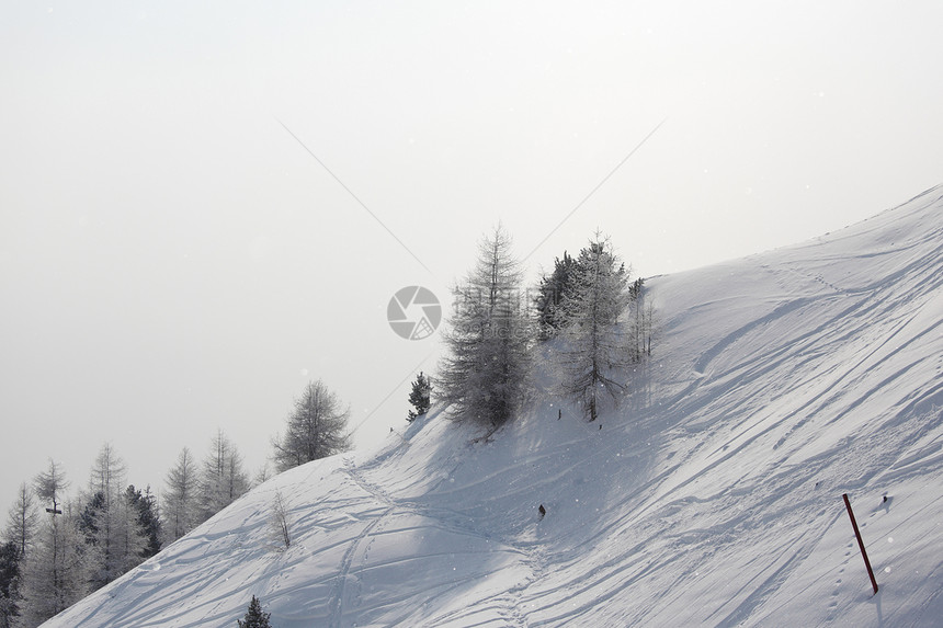 雪上滑雪痕迹粉末运动路线森林踪迹国家探索蓝色娱乐季节图片