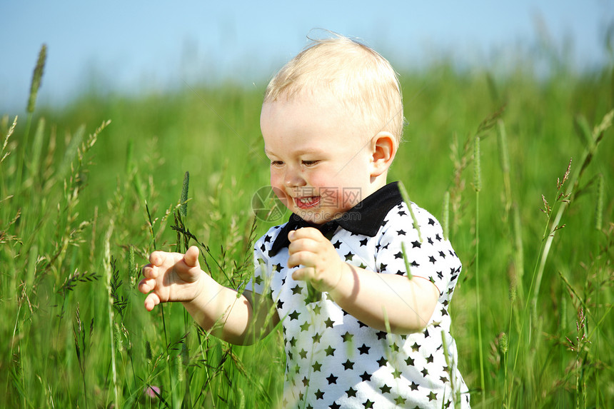 青草中的男孩木头衬衫金发孩子蓝色儿子幸福乐趣男性婴儿图片