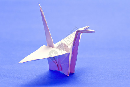 纸鸟折纸鸽子笔记爱好动物蓝色翅膀墙纸卡片艺术背景图片