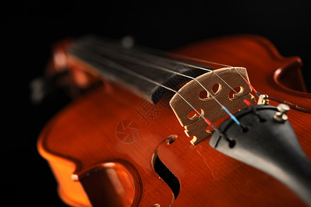 近距离拍下一小提琴 浅浅的田地深处交响乐团演艺乐器音乐音乐会红色木头活动风格背景图片