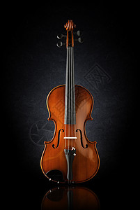 小提琴的前视图背景图片