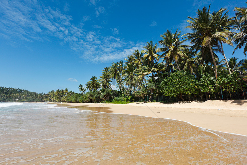 依德利海滩 斯里兰卡海洋孤独地平线棕榈娱乐蓝色风景晴天丛林天堂图片