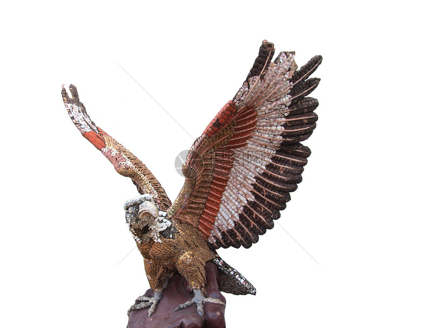 白种背景的鹰孤立雕雕塑图片
