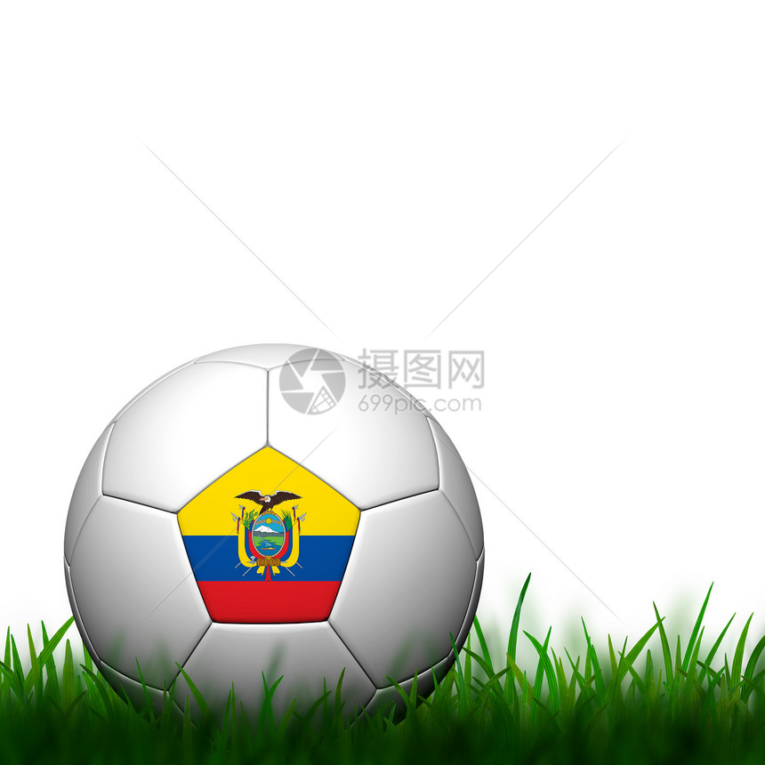 3D足球 厄瓜多尔旗杆在白色后院的绿草中竖立图片