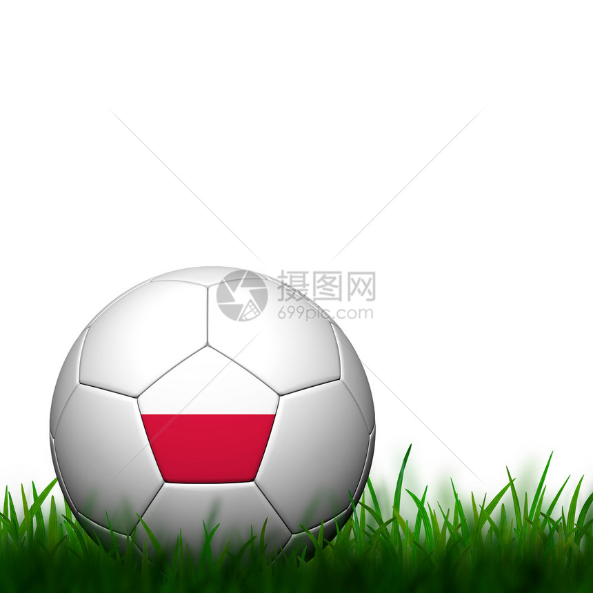 3D足球 波兰旗杆在白背角的绿色草地上图片
