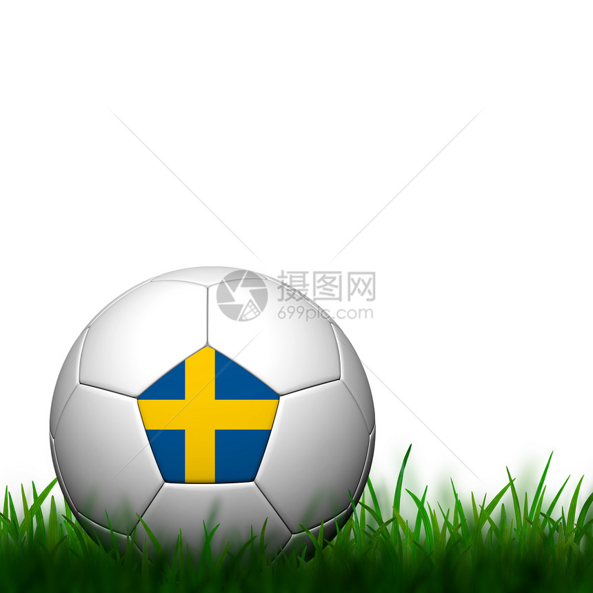 3D 瑞典足球 在白色背角的绿色草地上悬挂旗状图片