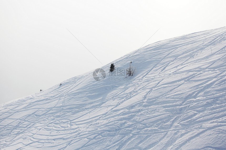 雪上滑雪痕迹运动小路探索曲线粉末国家蓝色云杉路线娱乐图片