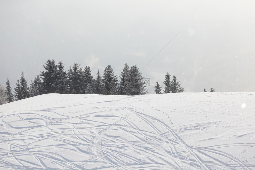 雪上滑雪痕迹冻结运动季节路线小路曲线国家蓝色粉末云杉图片