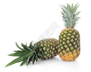 菠营养菠萝白色果实热带菠萝味维生素水果背景图片