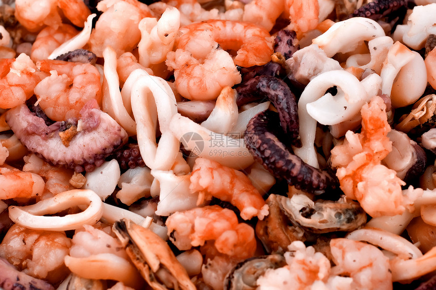海产海鲜生活动物食物烹饪情调贝类异国鱿鱼乌贼章鱼图片