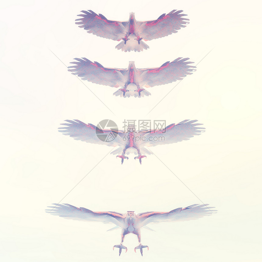 鹰天空飞行空气插图动物渲染老鹰鸟类编队翅膀图片