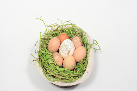 鸡蛋和鹅肉混合在篮子中脆弱性生物学工作室生活美食农业食物蛋糕营养团体背景图片