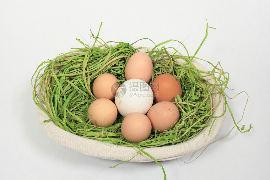 鸡蛋和鹅肉混合在篮子中营养脆弱性食物美食动物团体农业野鸡家禽蛋糕图片