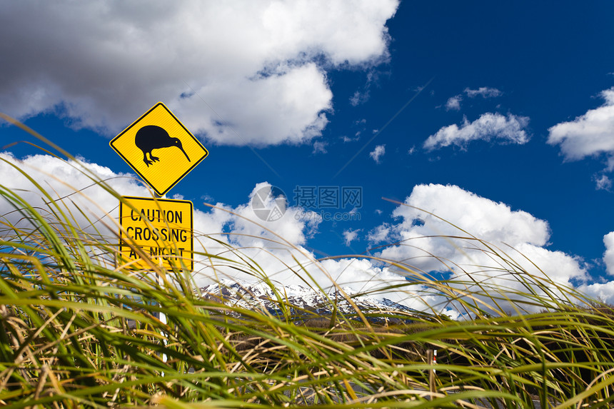 Kiwi交叉路牌和NZ的Ruapehu火山路标无翼鸟奇异果锥体猕猴桃菱形钻石平胸陨石地质学图片