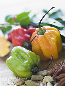 选择亚洲香料影棚香菜辣椒八角草药食物食品美食背景图片