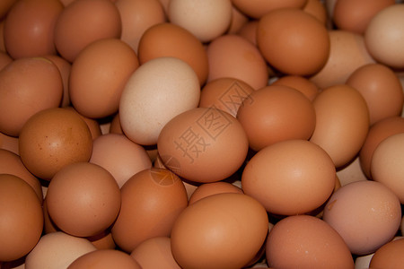 农场新鲜鸡蛋食物牧场农产品种植图案拍摄背景图片