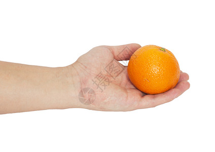 手手里的橘子橙子食物白色热带果汁水果高清图片