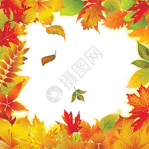 绘画秋叶秋叶的框架设计图片