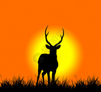 鹿影鹿的脚影荒野晴天哺乳动物太阳日落插图野生动物橙子绘画天空背景