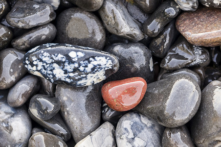 海滩上的披头士岩石卵石背景图片