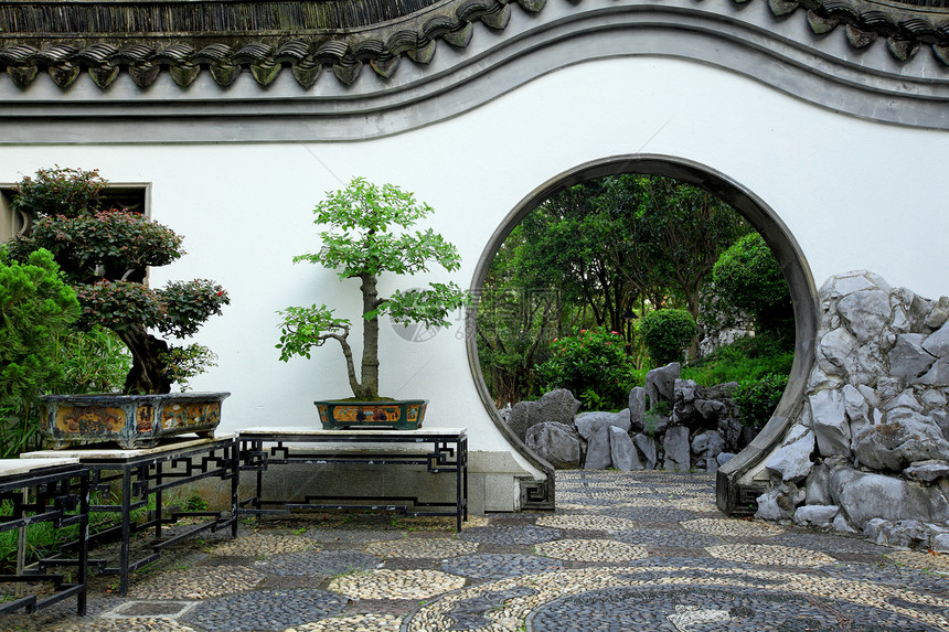 中国花园小路树叶花朵环境生长池塘松树分支机构树木文化图片