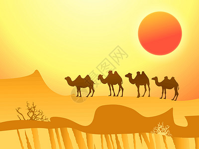 灼热沙漠中的骆驼橙子旅行太阳插图荒野闷热晴天动物寂寞大篷车插画