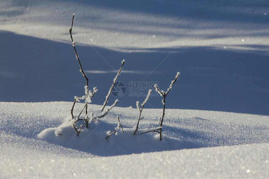 雪和山丘图片