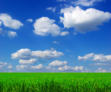 草地植物土地场地牧场天气绿色季节天空地平线风景背景图片