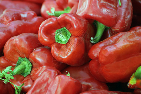 红铃辣椒摊位美食市场营养绿色水果胡椒烹饪背景图片