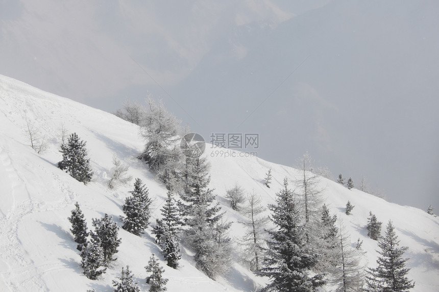 积雪中的森林季节木头阳光天空首脑气候高地公园童话太阳图片