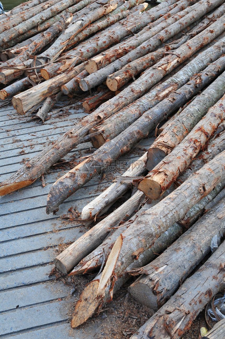 一堆松树记录树干燃料环境木材乡村圆圈圆形林业柴堆图片