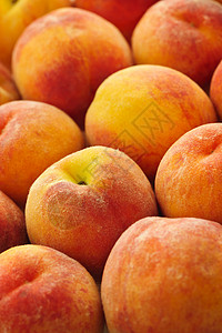 桃树背景收成营养生产市场红色水果采摘桃色食物背景图片