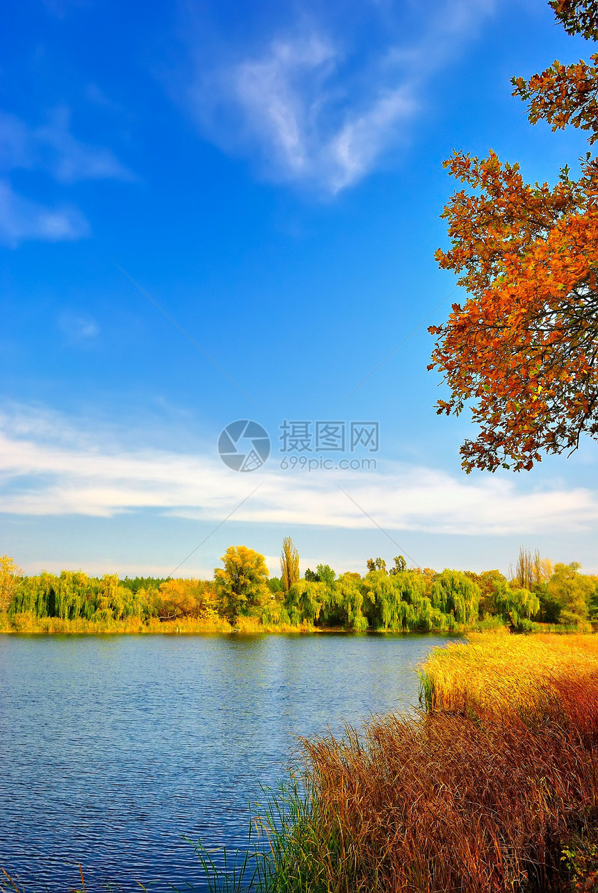 湖边的秋季风景图片