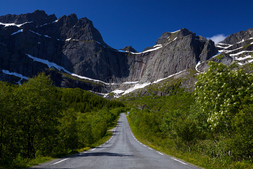 通往Nusfjord的道路图片