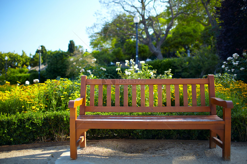 公园中的法官树叶天空椅子家具花园蓝色扶手园艺休息木头图片