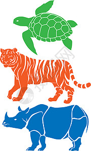 龟老虎濒危物种老虎动物群丛林喇叭保护犀牛哺乳动物国王插图插画