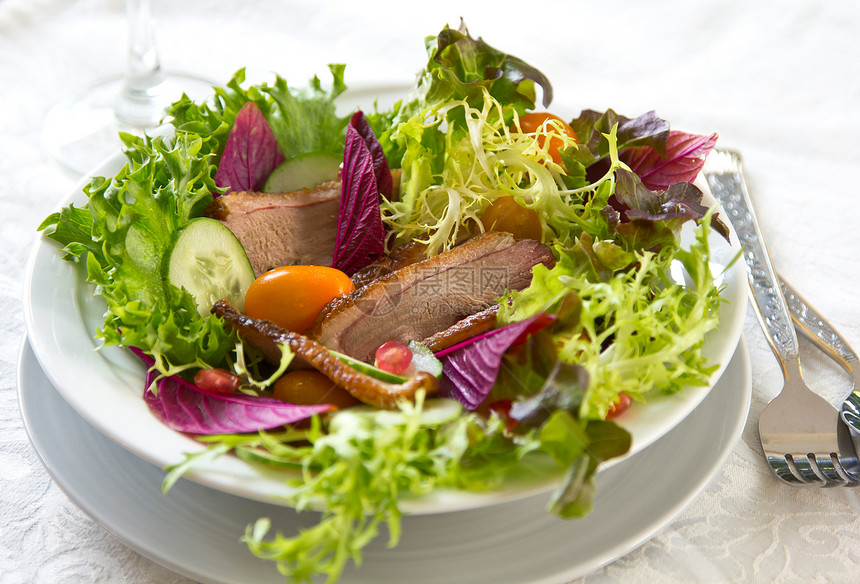 带石榴沙拉的烟鸭菠菜餐厅紫色树叶午餐蔬菜熏制美味黄瓜美食图片