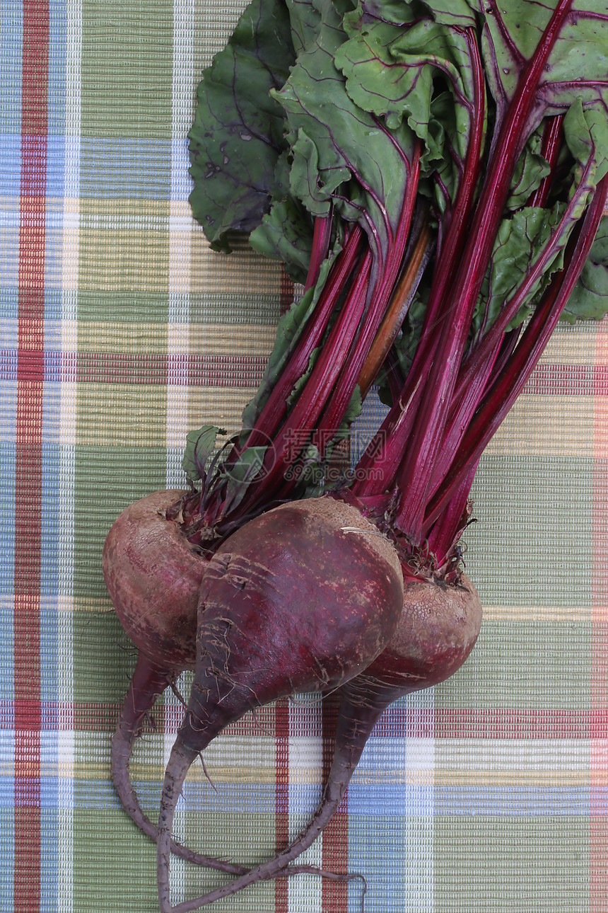 红甜菜白色美食食物盘子树叶蔬菜园艺营养紫色煮沸图片