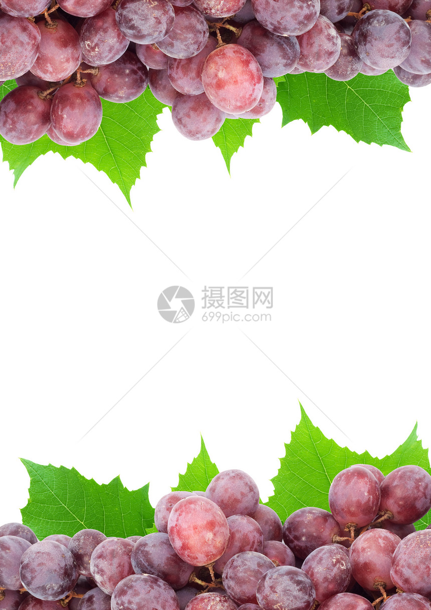葡萄水果蓝色酒厂季节小路酿酒葡萄园框架美食茶点图片