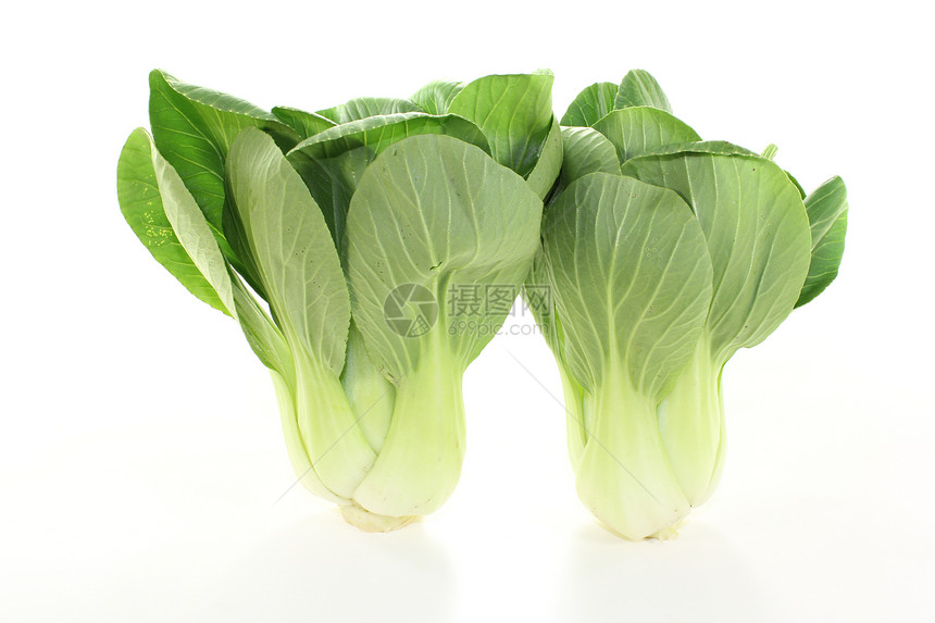 新鲜的pak choi叶子菠菜厨房烹饪植物绿色沙拉蔬菜白色白菜图片