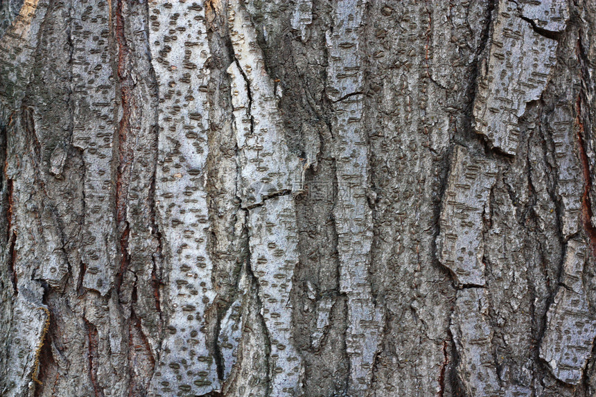 木木无缝模式图片