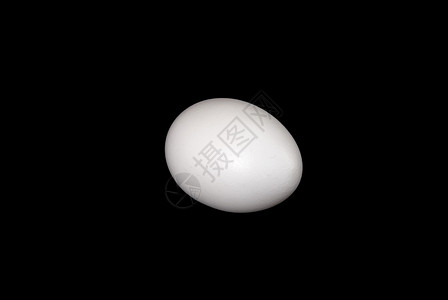 白蛋蛋壳白色食物母鸡背景图片