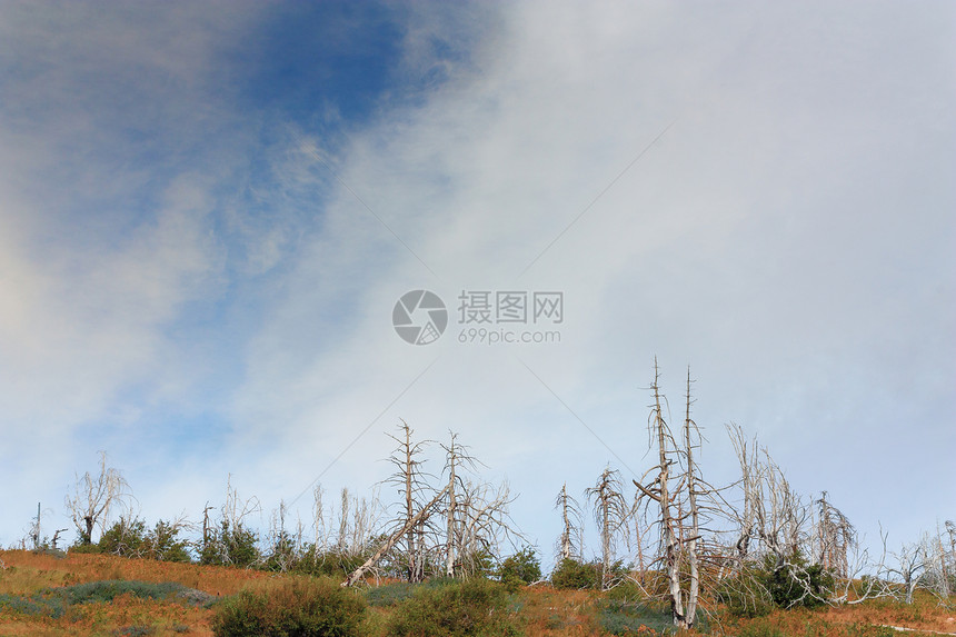 森林火灾面积野火边缘蓝天树木烧伤工作伤害图片