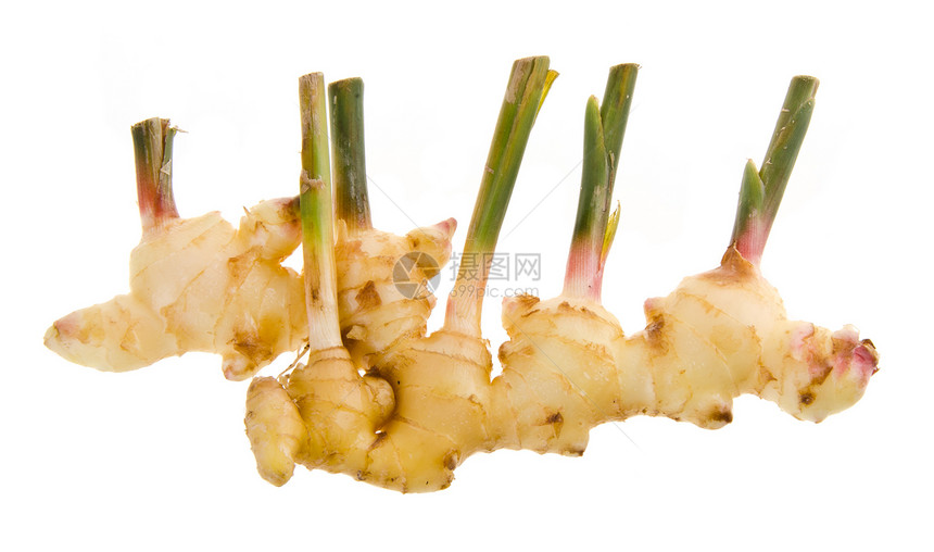 姜树根在背景上食物蔬菜味道美食烹饪棕色植物营养香料市场图片