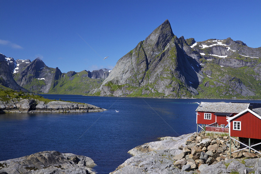 洛福顿群岛的Fjord山峰小屋山脉钓鱼渔村房子大豆峡湾风景村庄图片