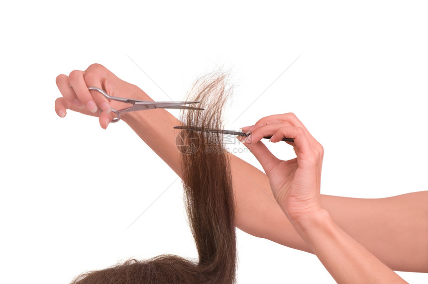 切割年轻女性的理发师头发职业沙龙微调器工具发型白色剪发棕色造型图片