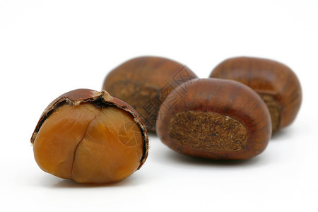 栗子种子棕色坚果食物背景图片