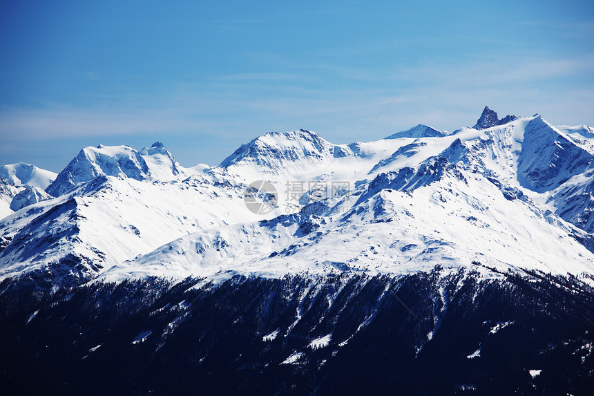 山上有高山小路云杉滑雪运动旅行顶峰松树阴霾暴风雪冰川图片