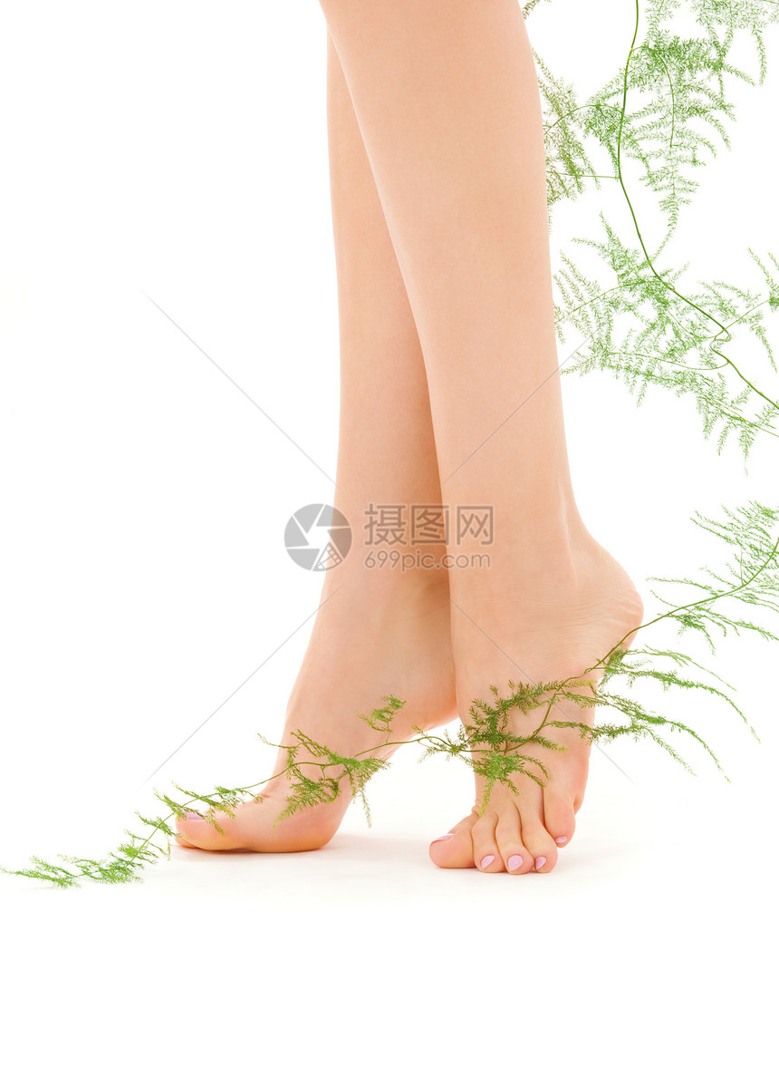 带绿植物的女腿活力卫生护理脱毛福利极乐脚尖足疗身体皮肤图片